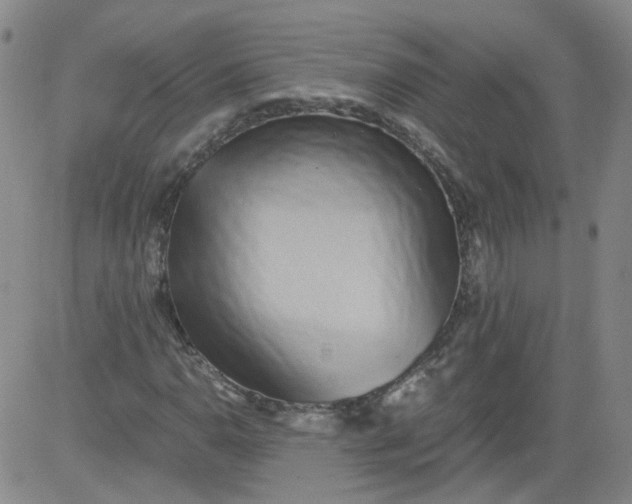 X0000084041110200703022142