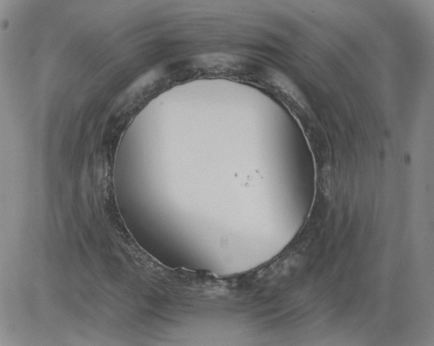 X0000084041111200703022142