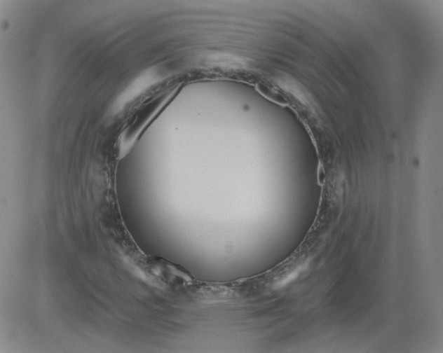 X0000084041112200703022142