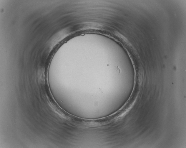 X0000084041113200703022142