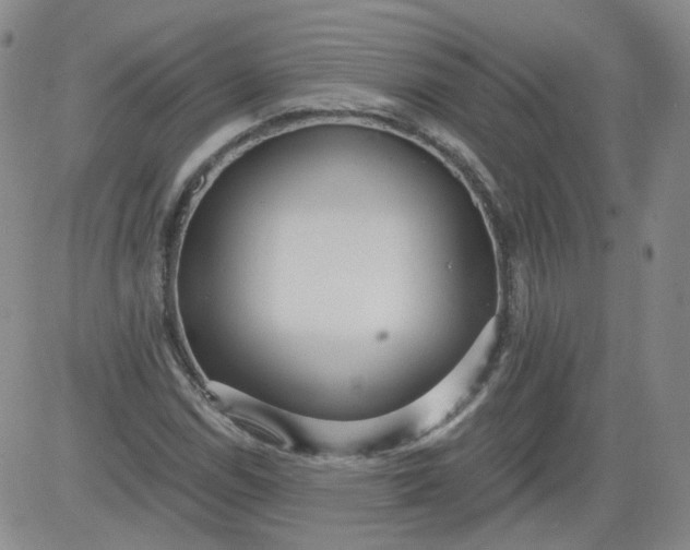 X0000084041114200703022142