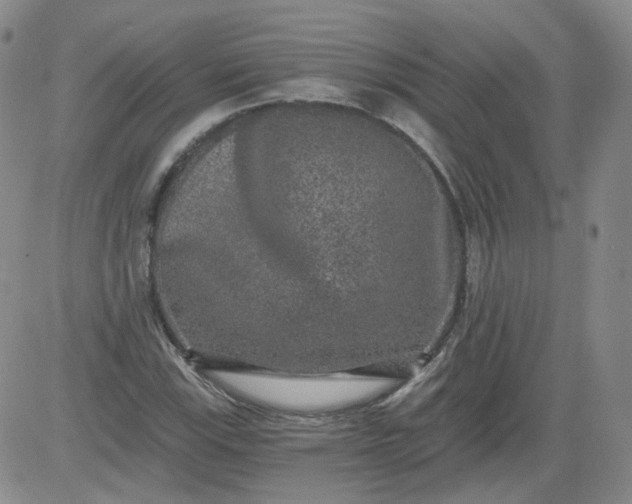 X0000084041115200703022142