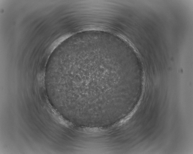 X0000084041121200703022142