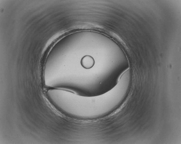 X0000084041122200703022142