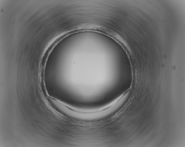 X0000084041124200703022142