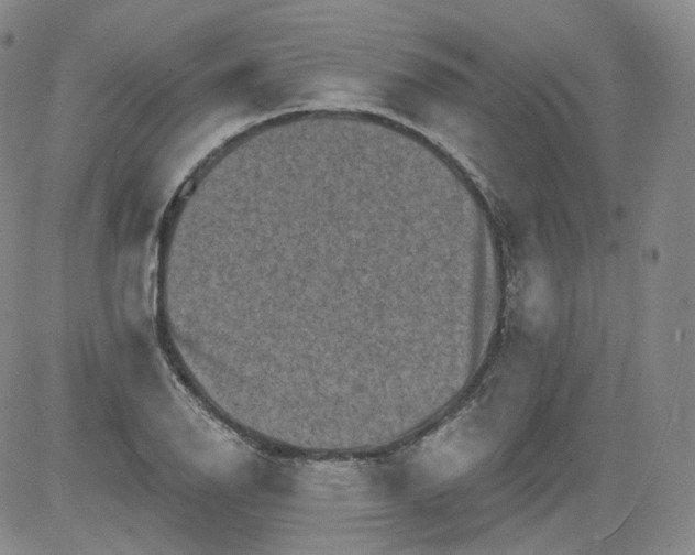 X0000084041126200703022142