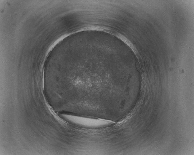 X0000084041127200703022142