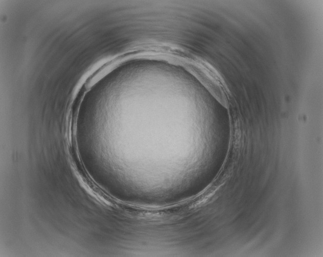 X0000084041128200703022142