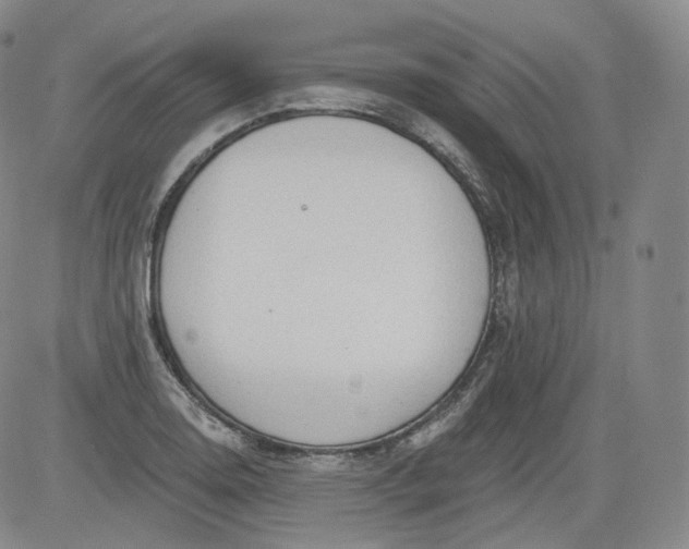 X0000084041130200703022142