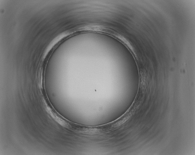 X0000084041131200703022142