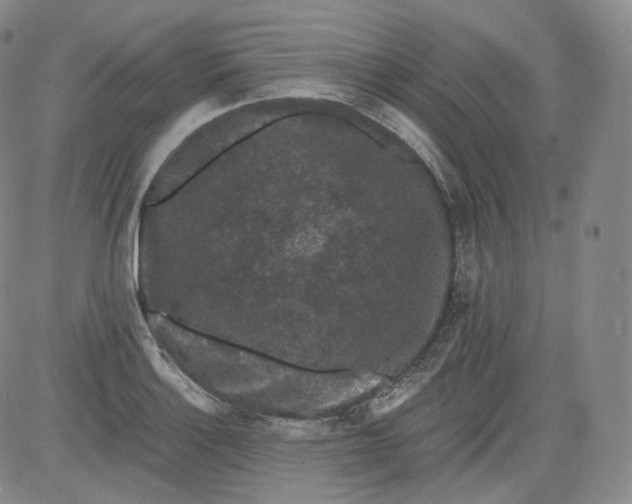 X0000084041132200703022142