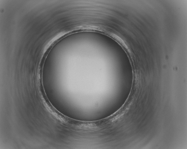 X0000084041133200703022142