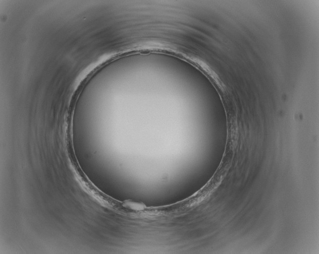 X0000084041134200703022142