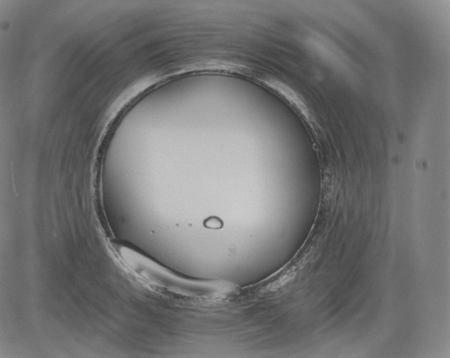 X0000084041135200703022142