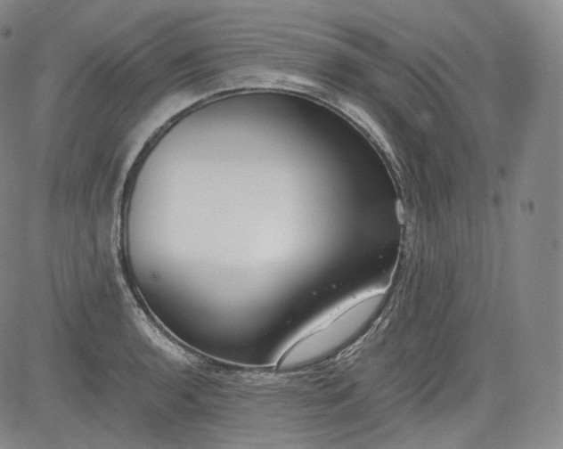 X0000084041136200703022142