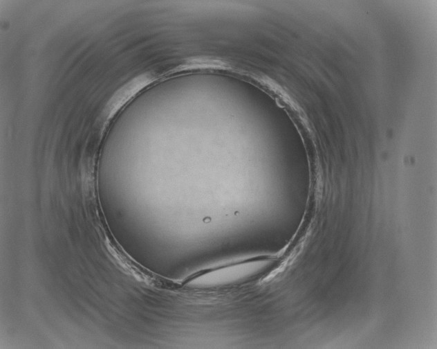 X0000084041137200703022142