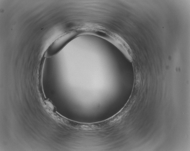 X0000084041138200703022142