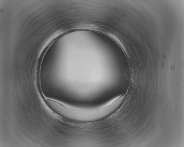 X0000084041139200703022142