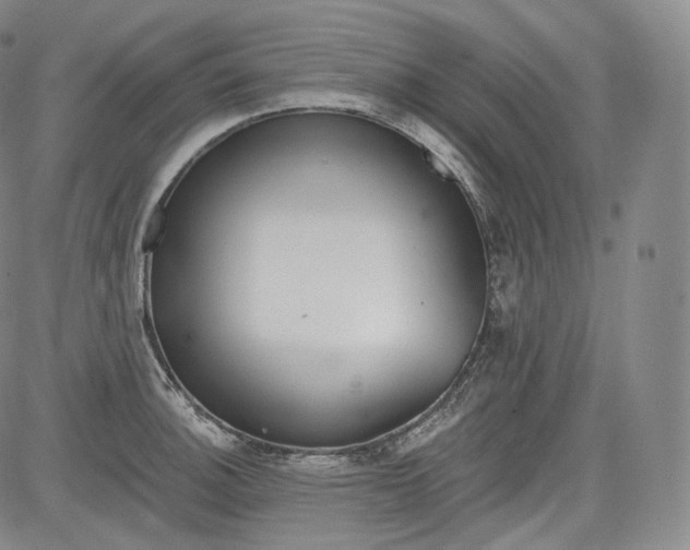 X0000084041140200703022142