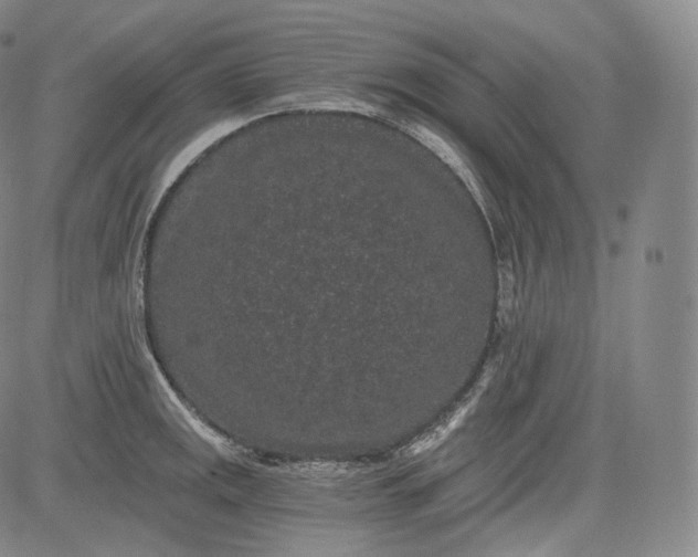 X0000084041141200703022142