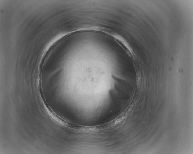 X0000084041143200703022142