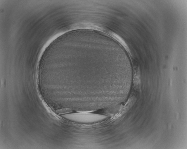 X0000084041144200703022142