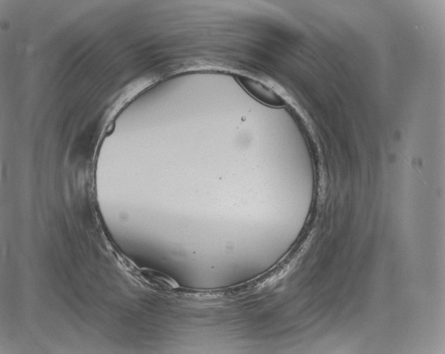 X0000084041145200703022142