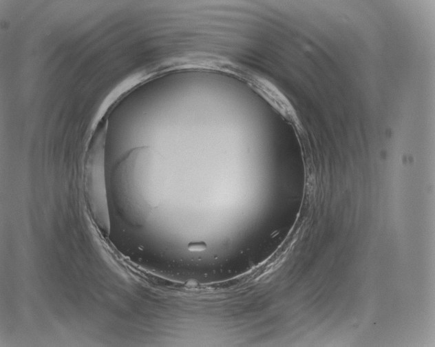 X0000084041146200703022142