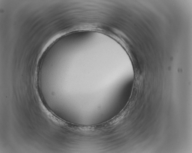 X0000084041147200703022142