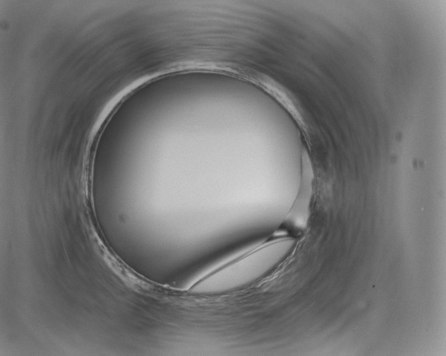 X0000084041148200703022142