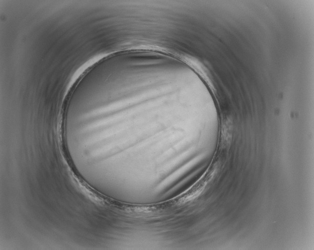 X0000084041149200703022142