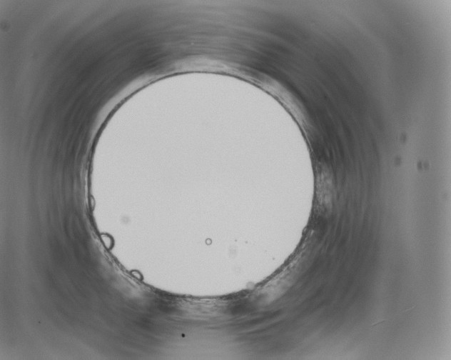 X0000084041150200703022142