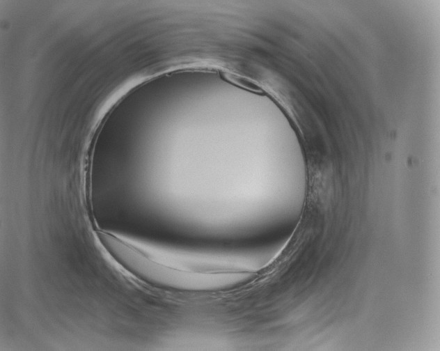 X0000084041151200703022142