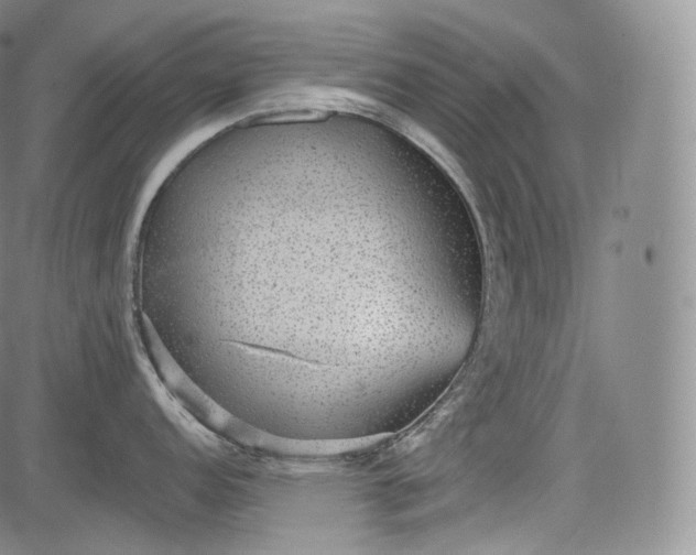 X0000084041152200703022142