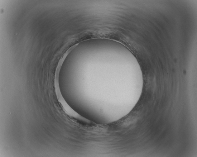 X0000084041153200703022141