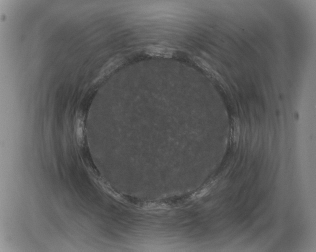 X0000084041154200703022141