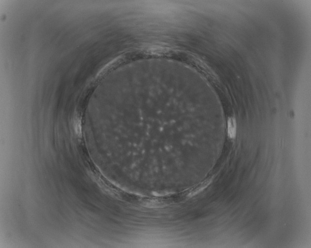 X0000084041155200703022141