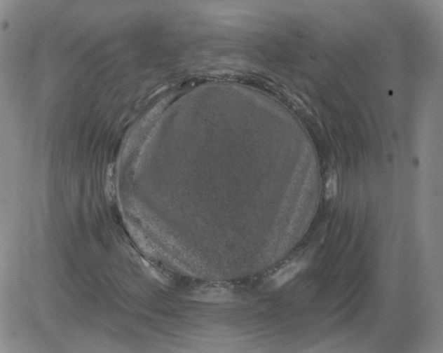 X0000084041156200703022141