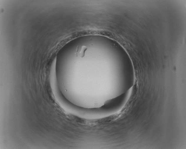 X0000084041157200703022141