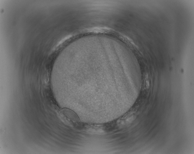 X0000084041158200703022141