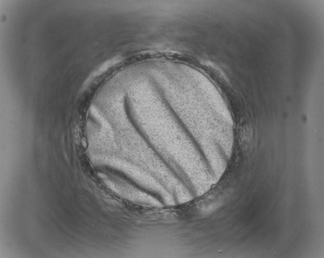 X0000084041159200703022141