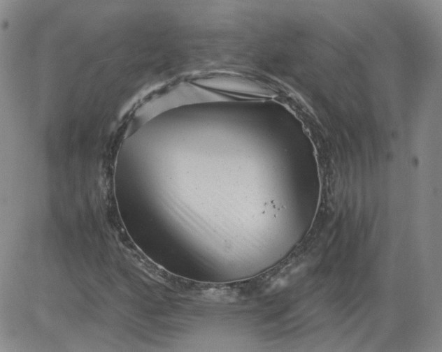 X0000084041160200703022141