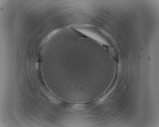 X0000084041161200703022141