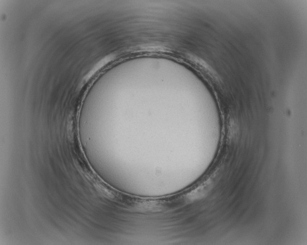 X0000084041162200703022141