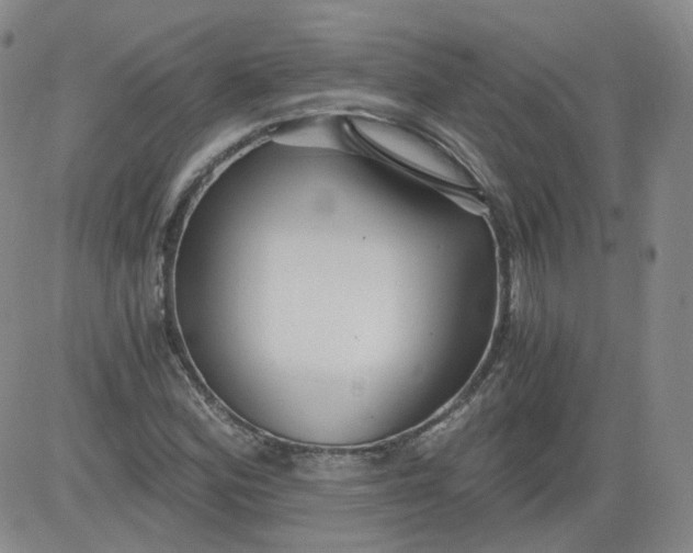 X0000084041164200703022141