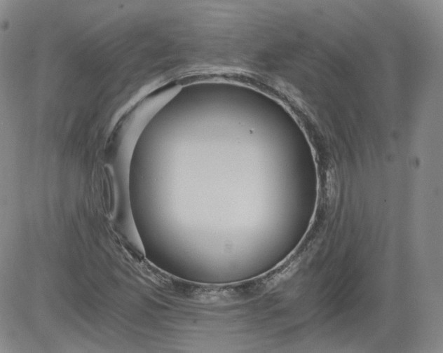 X0000084041165200703022141