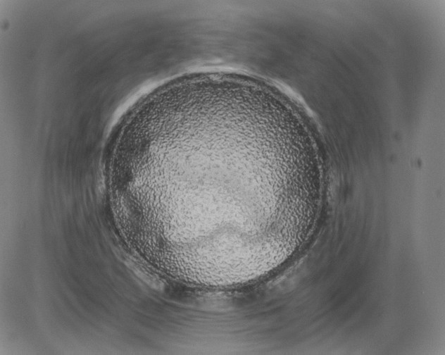 X0000084041167200703022141