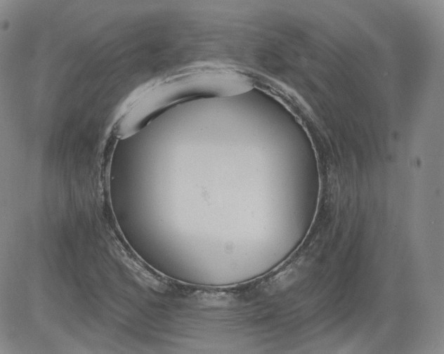 X0000084041168200703022141