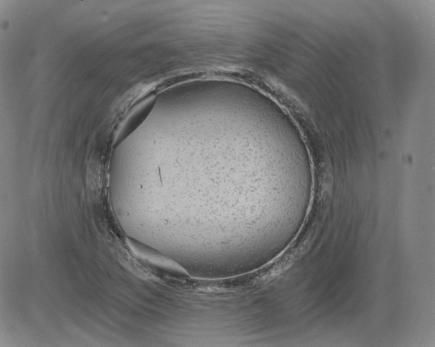 X0000084041169200703022141