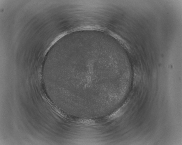 X0000084041170200703022141